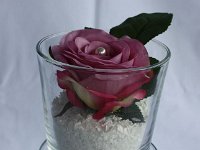 Bild-1