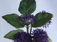 Bild-12