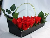 Bild-20