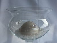 Bild-23