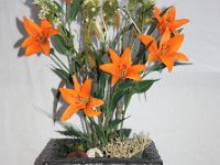 Bild-28