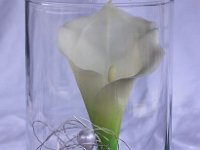 Bild-33