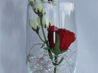 Bild-9